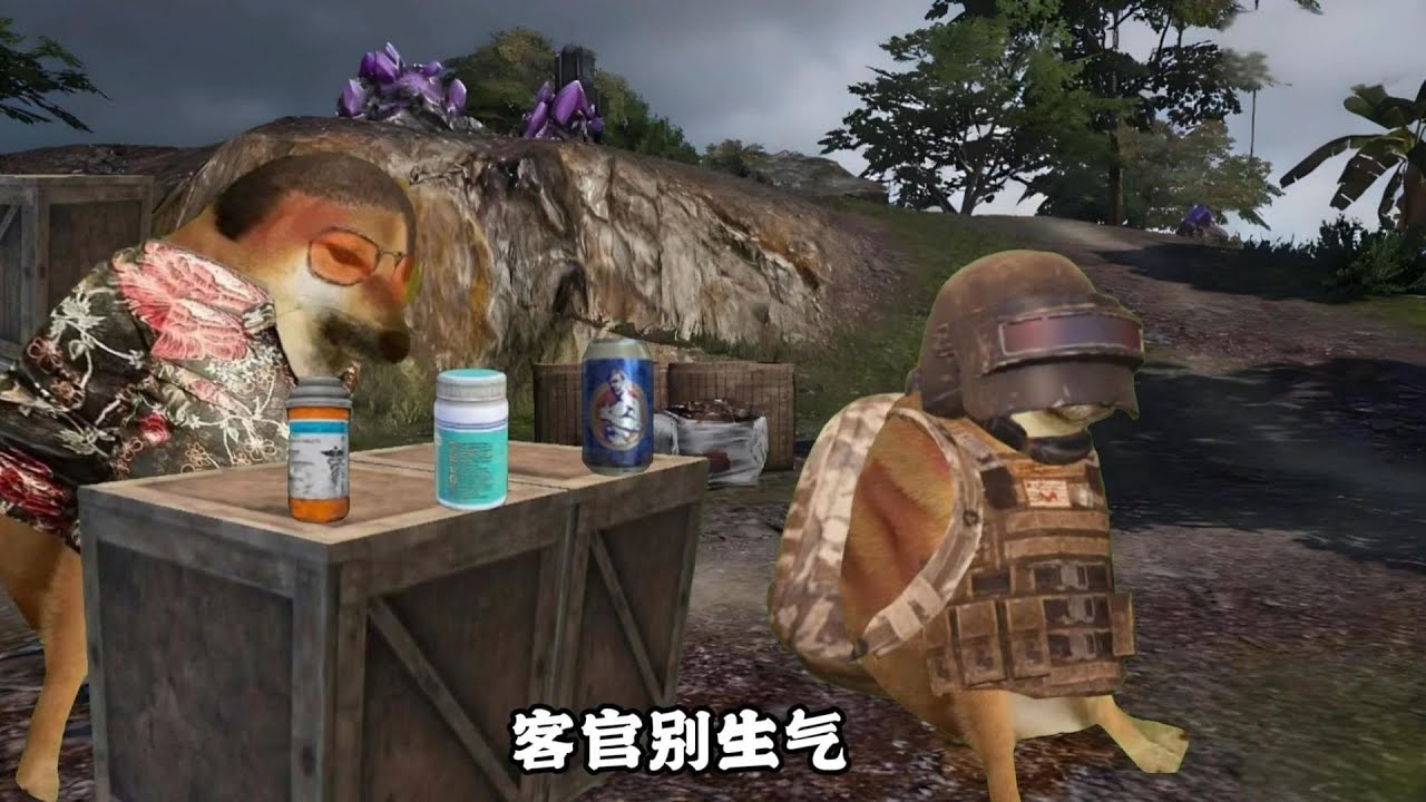 弗拉迪与灾兽罗尔的相遇7~9合集