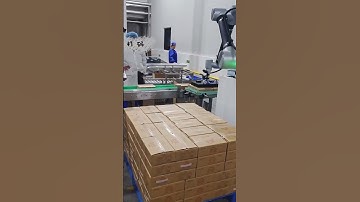 Automatic robot palletizer stacking machine,