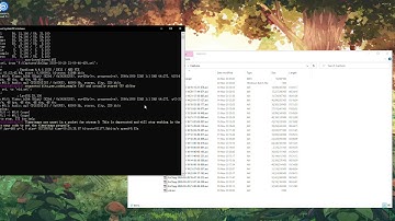 How to cut an AVI or MP4 Video Fast, Losslessly and Without Changing Container, using FFMPEG