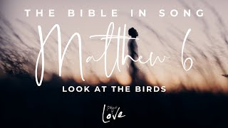 Matthew 6 - Look At the Birds || Bible in Song || Project of Love