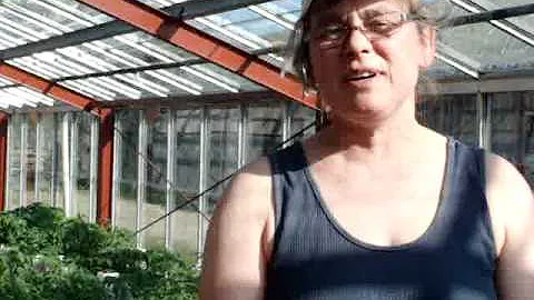 Elisabeth Rasmussen from Stengarden Green Dream