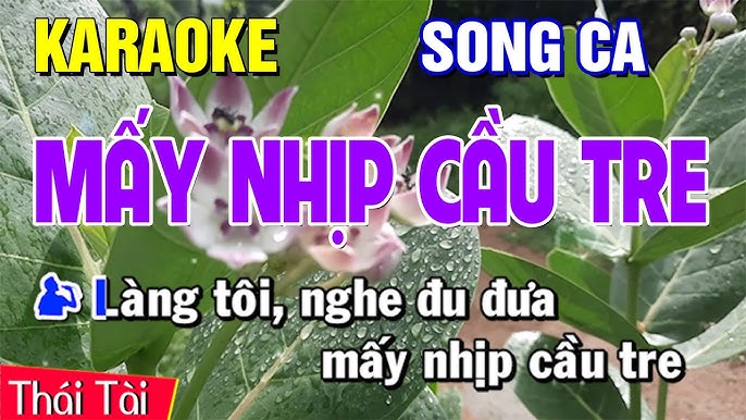 MẤY NHỊP CẦU TRE