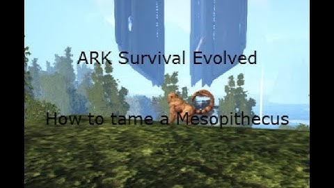 Ark Survival Evolved How to Tame a Mesopithecus
