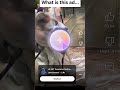 What is this... #meme #idkwhattopost #ai #memes #helpmemakethismakesense #funny #scary #spiderman