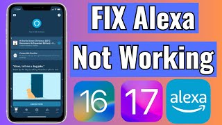 Fix Alexa App Not Working on iPhone Keeps Stopping or Crashing in iOS 17/16 screenshot 5