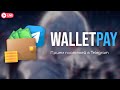 Смотрим Wallet Pay и API - оплата внутри телеграм