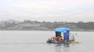 EDGETECH 6205 running in a IPT Catamaran