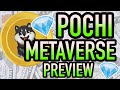 POCHI IN THE METAVERSE 🐕🌍🌴 Pochi Inu by InuYasha (Unreal Engine 5)