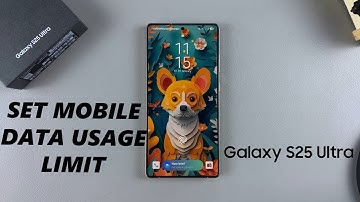 How To Set Limit For Mobile Data Usage On Samsung Galaxy S25 / S25 Ultra