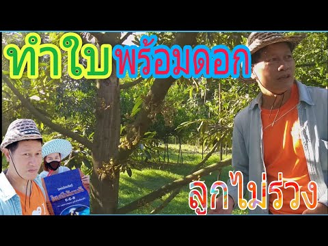 🍈เทคนิคการทำใบพร้อมดอก