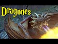 Todo sobre los dragones en el mundo de Harry Potter