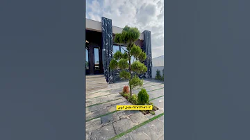 زرنگ میخره معمولی میترسه تاپ لوکیشن آهودشت داخل شهرک باگیت نگهبانی با اقساط بلند مدت ویلا شمال 