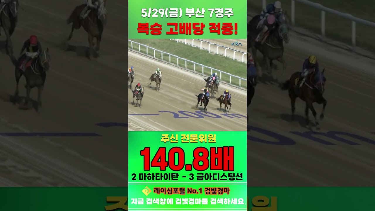 [부산 경마] 5월 29일 금요 7경주 주신 전문위원 복승 고배당 적중 #경마 #automobile #하이라이트 #horse #한국마사회 #smartphone #뉴스 #게임