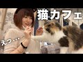 【22歳大学生】メンヘラなので猫カフェで癒されてきた