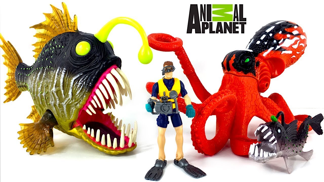 ANIMAL PLANET INTALNIREA CU CREATURILE DIN ADANCUL MARII PESTELE UNDITAR CU PUIUL SI CARACATITA - YouTube