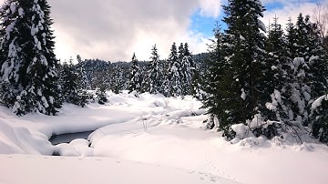 NHẠC THIỀN KHÔNG LỜI THƯ GIÃN CHO GIẤC NGỦ NGON, PHIM 4K TUYẾT RƠI PHỦ KÍN RỪNG