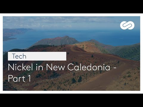 Nickel in New Caledonia Part 1 - Logbook 2021