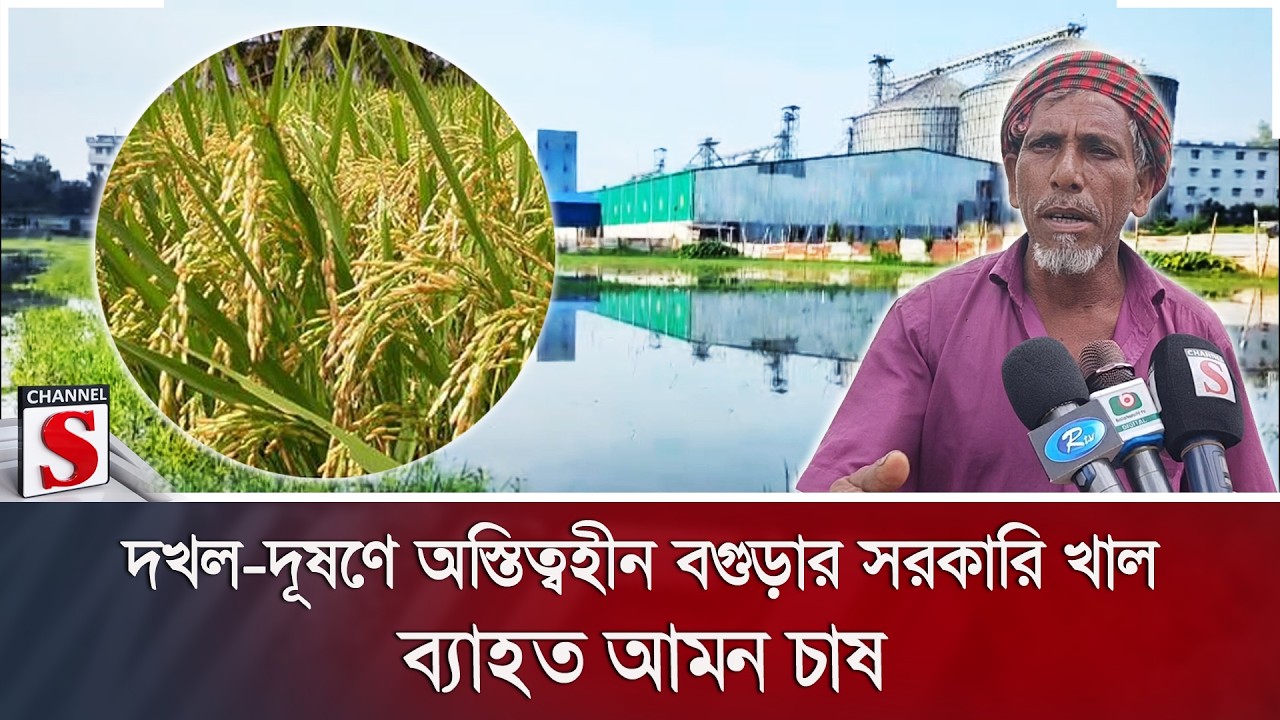 দখল-দূষণে অস্তিত্বহীন বগুড়ার সরকারি খাল; ব্যাহত আমন চাষ | Channel S News