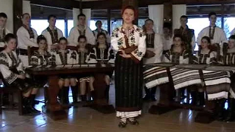 Gabriela Craciunescu Canta cucu n zori de zi