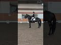 one of my best dressage tests on himm (did 2 on the first day-70% and 69.8%!)