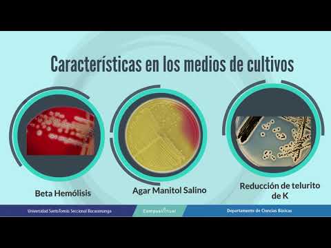 Vídeo: El Consumo De Cannabis De Los Estudiantes De Secundaria Y Las Percepciones Hacia El Cannabis En El Centro Sur De Colorado, Comparando Comunidades Que Permiten Dispensarios Recreati