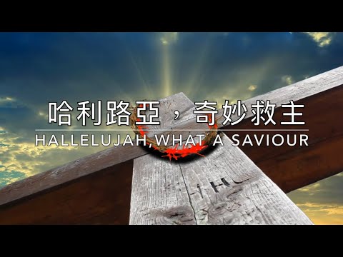 哈利路亞 奇妙救主 Hallelujah, What a Saviour｜生命聖詩130（國語）