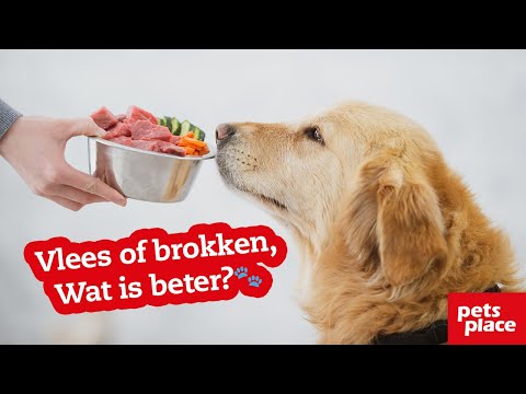 Video: Natuurlijk Hondenvoer: Is Het Beter?