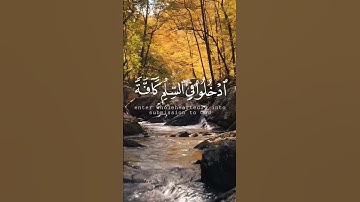 #تلاوة_خاشعة #بصوت_جميل