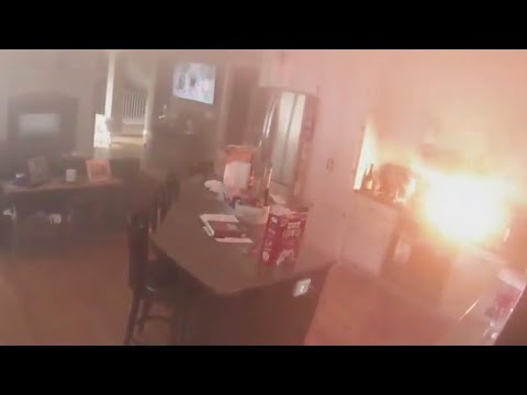 A house catches on fire. Video shows the dog did it.