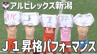 アルビレックス新潟 恒例の勝利後パフォーマンス！昇格バージョン