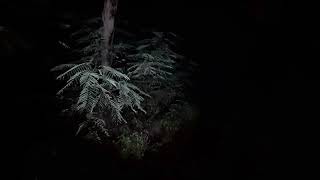 Lembah kuntilanak @sukamdi