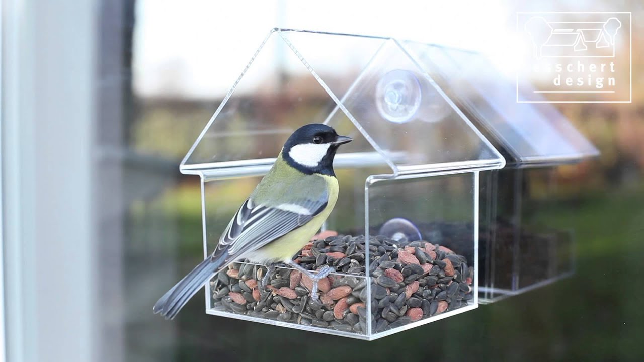 Mangeoire en acrylique pour oiseaux, fenêtre résistante aux intempéries,  maison avec plateau à graines coulissant et ventouses fortes, cadeaux pour  l'observation des oiseaux