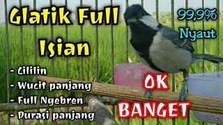 Glatik full isian || Pancingan AMPUH GELATIK BATU GACOR