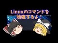 Linuxのコマンドを勉強するよ！ (Beginner 004)