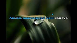 Арман караоке Қайрат Нұртас