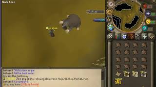 New Rsps Reversenex Part 1 Giant Mole