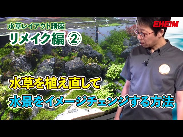 水草水槽】レイアウト講座「リメイク編②」～水草を植え直して水景を