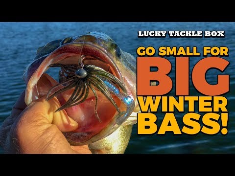 Catch Big Winter Bass with Micro-Baits