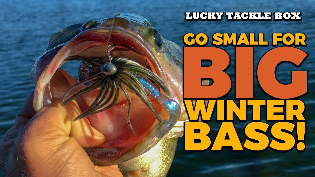 Must-Have Winter Bass Baits And How To Use Them