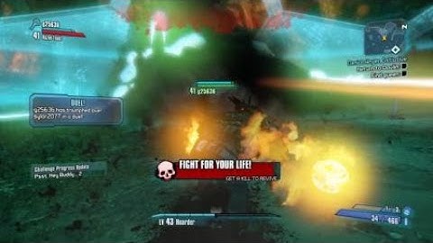 Borderlands: Funny health\shield bug