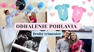 VLOG | Odhalenie pohlavia bábätka | 2. trimester si užívam | Tehotenstvo