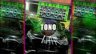 ESO E (DOBLE TONO) DONATY - PARA MUSICOLOGOS