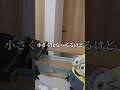 Switch2あるある その4 #switch2 #あるある #夜更かし #shorts #youtubeshorts #foryou