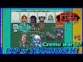 [EXP TEAMHUNT SKY ELFY] Takie Noobki a kręcą expa jak koxiki - Kakele