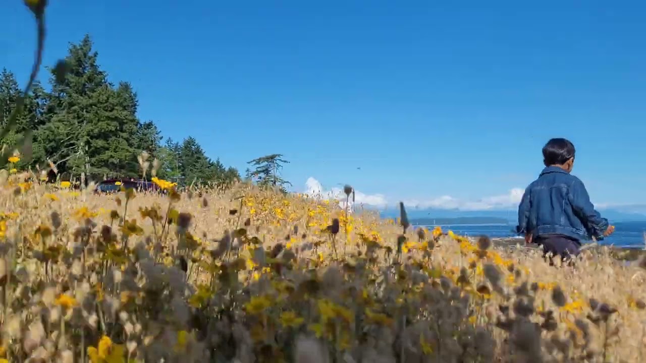 Asher walking at the Grassy point, Hornby Island, July 2022