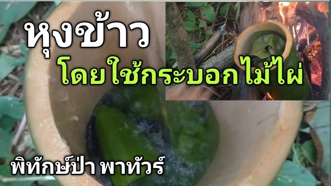 #วิธีหุงข้าวโดยใช้กระบอกไม้ไผ่ #เอาชีวิตรอด #พิทักษ์ป่าพาทัวร์ #เดินป่ากับนายรพินทร์