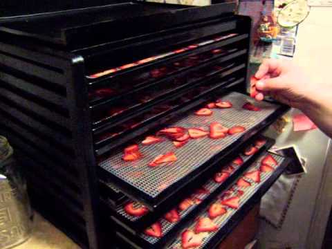 Dehydrating Strawberries