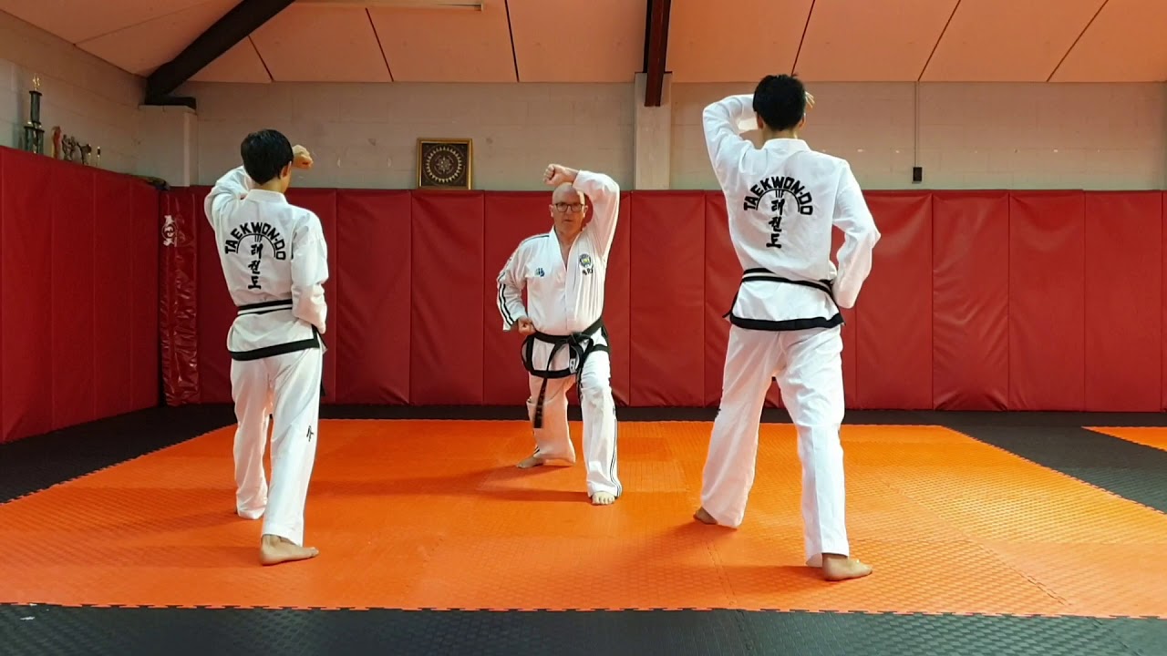 TAEKWON-DO - Dan Gun Tul