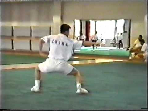 Тренировка сборной Пекина по УШУ 1997 / 1997 Beijing Wushu training