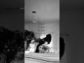 idk I saw this on my fyp #tiktok